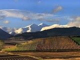 La révolution d’un seul grain de raisin de la Rioja, quel beau vin bio ce Vina Ilusion du mont Isasa