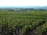A l'assaut des vins du Languedoc Part 2