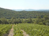 Provence : les domaines à connaitre absolument Part 2