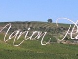 Semaine Languedoc : zoom sur le domaine Marion Pla