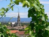 Vallée du Rhône : zoom sur une toute petite aoc