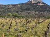 Domaine de l’accent