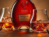Cognac prix : combien coûte une bouteille de cognac selon la gamme