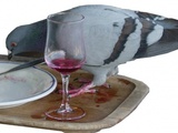 Les pigeons du vin
