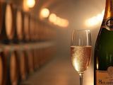 Pourquoi choisir le magnum de champagne philipponnat royale réserve brut