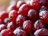 Raisin et crise de goutte, faut-il vraiment l’éviter