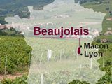 Le Beaujolais : une région et toute une palette de vins