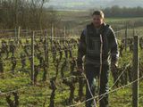 Sébastien Fleuret, Micro-vigneron en Anjou