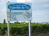 2011: Des sommeliers pour défendre la Négrette des Fiefs Vendéens