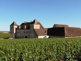 Quatre vignerons à aller voir en Bourgogne