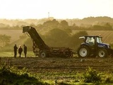 Agriculture : Le Parlement européen adopte la nouvelle pac, malgré l’opposition des écologistes