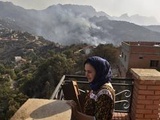 Algérie : Le combat contre les feux de forêts dure, le bilan s'alourdit