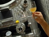 Alsace : Vin, bière, spiritueux… Le Dry January est-il aussi un mois sec pour les producteurs d’alcool