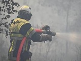 Ardèche : Un incendie ravage 80 ha de garrigue