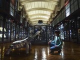 Biodiversité : Au Museum d'histoire naturelle, des animaux disparus reprennent vie en réalité augmentée