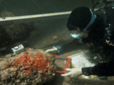 Bretagne : Des fouilles sous-marines relancées pour percer le secret d’une mystérieuse épave