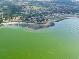 Bretagne et Loire-Atlantique : l'eau de mer est vert fluo ? Prenez une photo et faites avancer la science