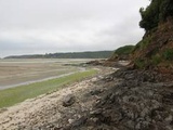 Bretagne : Les habitants invités à donner leur avis sur la lutte contre les algues vertes