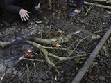 Calais : Quatre blessés dont trois migrants dans une rixe