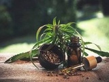 Cannabis : Le Conseil constitutionnel précise la définition des stupéfiants et en écarte le cbd, redonnant espoir à la filière