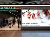 Cbd : Le gouvernement interdit la vente de fleurs ou de feuilles brutes