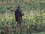 Chasse : La Ligue de protection des oiseaux s’inquiète d’une « hécatombe de rapaces » victimes de tirs