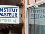 Coronavirus : l'institut Pasteur de Lille va commencer les essais cliniques de son traitement