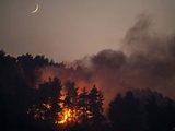 En Grèce, près de 100.000 hectares brûlés en deux semaines, triste record depuis 2007