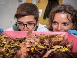 Et si vous deveniez éleveur de blob, histoire de savoir si cet être unicellulaire supportera le changement climatique