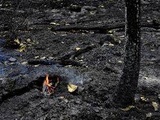Face aux risques d'incendie, le gouvernement lance un dispositif national renforcé pour l’été