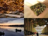 Feuilles mortes et tons orangés, vous nous avez envoyé vos plus belles photos d’automne