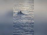 Floride : 39 personnes portées disparues après le chavirage d’un bateau