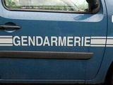 Fréjus : Il se livre à la gendarmerie avec une tête et un pénis dans un sac