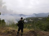 Grèce : 16 personnes hospitalisées et un mort à la suite des incendies qui ravagent le pays