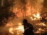 Grèce : l’incendie d’Eubée « lentement en train d’être maîtrisé », d’après un maire de l’île