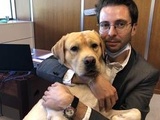 Grenoble : a la mairie, c'est possible de travailler avec son chien