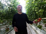 Guerre en Ukraine : Quel prix pour les tomates après la flambée du prix du gaz