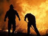 Île-de-France : Un énorme incendie détruit la halle Suzanne-Buisson à Bondy (93)