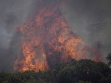 Incendie dans le Var : 8.100 hectares parcourus, des reprises au nord, « journée décisive » pour les pompiers