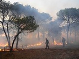 Incendies dans le Var : « Le pire a été évité » mais « la bataille continue » selon Macron