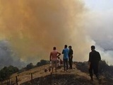 Incendies en Algérie : Le pays paye « une approche à l’ancienne de la protection civile », mais pas seulement