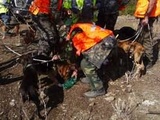 Landes : Un chasseur de 45 ans tué après un « tir accidentel » lors d’une battue aux sangliers