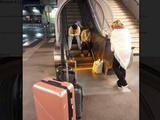 Lyon : Privées de correspondance bus BlaBlaCar, cinq femmes contraintes de passer la nuit dehors à la gare de Perrache