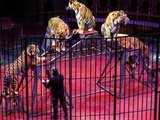 Marseille : Un cirque avec animaux interdit de public par la mairie