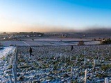 Météo : Onze départements placés en vigilance orange neige et verglas