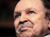Mort de Bouteflika : « Au début je l'admirais, mais il a merdé », la diaspora algérienne de Marseille entre respect, rancœur et indifférence