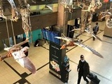 Nantes : Des vols d’oies sauvages dans le hall de l’aéroport