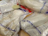 Nord : Dix-neuf prévenus comparaissent pour un trafic international de drogue
