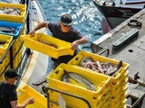 Pêche post-Brexit : La France appelle à une « solution rapide » au différend qui l’oppose au Royaume-Uni