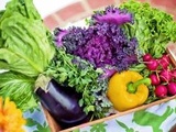 Précarité : Le chèque alimentaire ne sera pas mis en place avant 2022